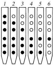 How to play the Native American flute- pentatonic scale