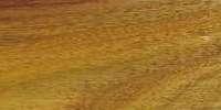 Canary Canarywood