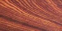 cocobolo cocobolo