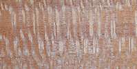 Lacewood Lacewood