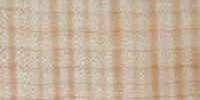 Curly Maple Curly Maple